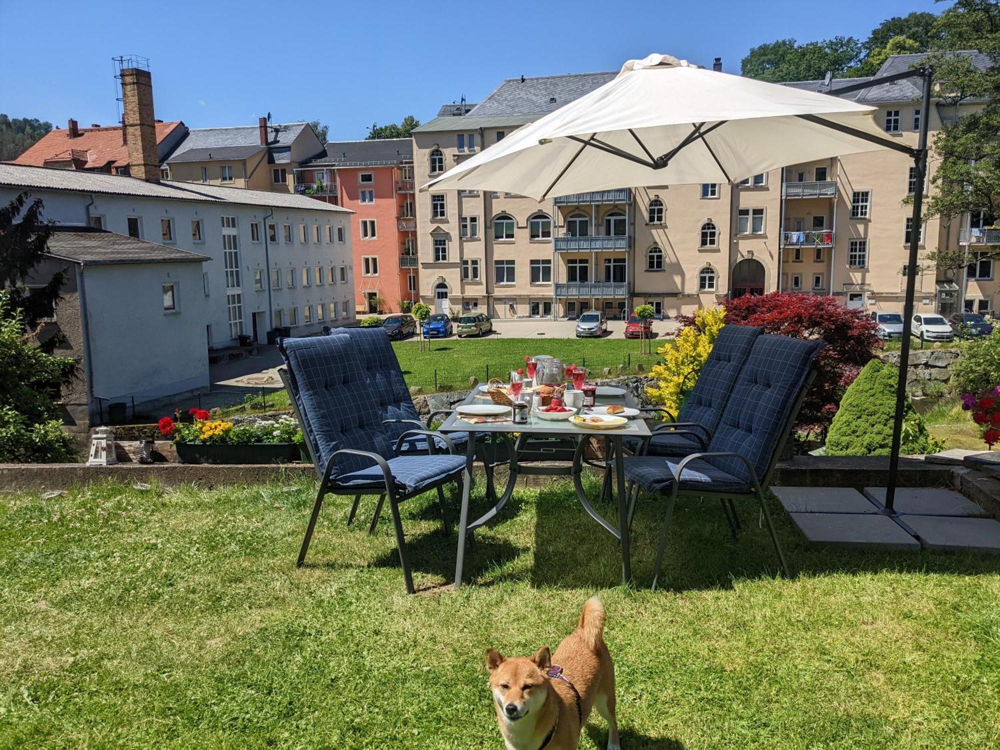Hw2B - Urlaubsmagie - Wohlfuehlwohnung Mit Balkon, Pool, Sauna & Terrasse Sebnitz Kültér fotó