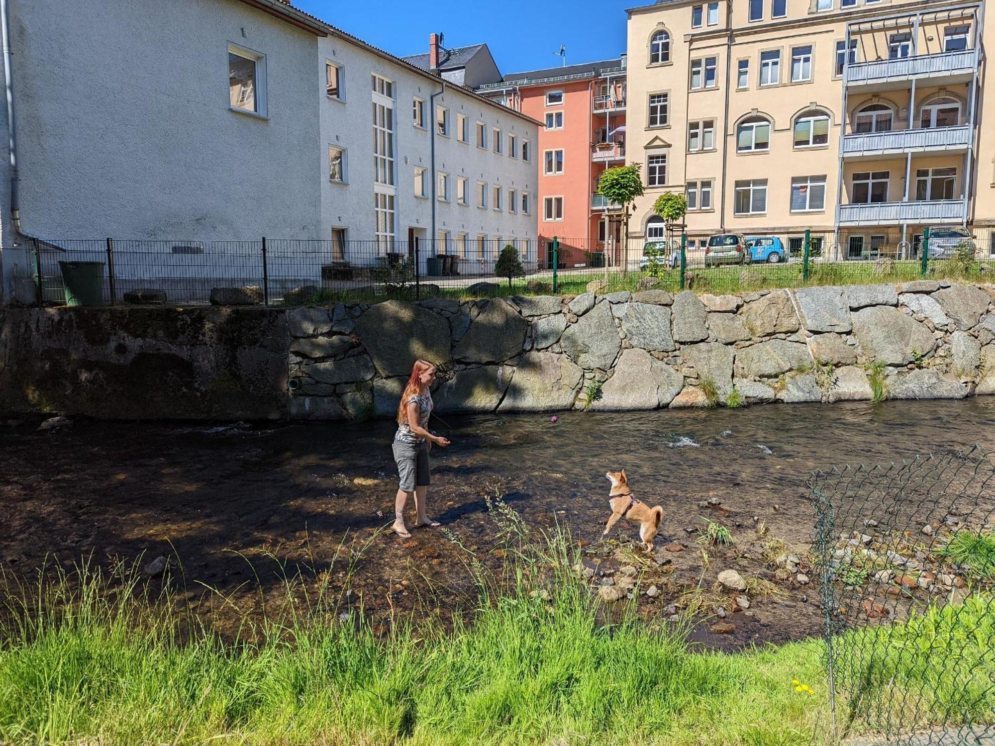 Hw2B - Urlaubsmagie - Wohlfuehlwohnung Mit Balkon, Pool, Sauna & Terrasse Sebnitz Kültér fotó
