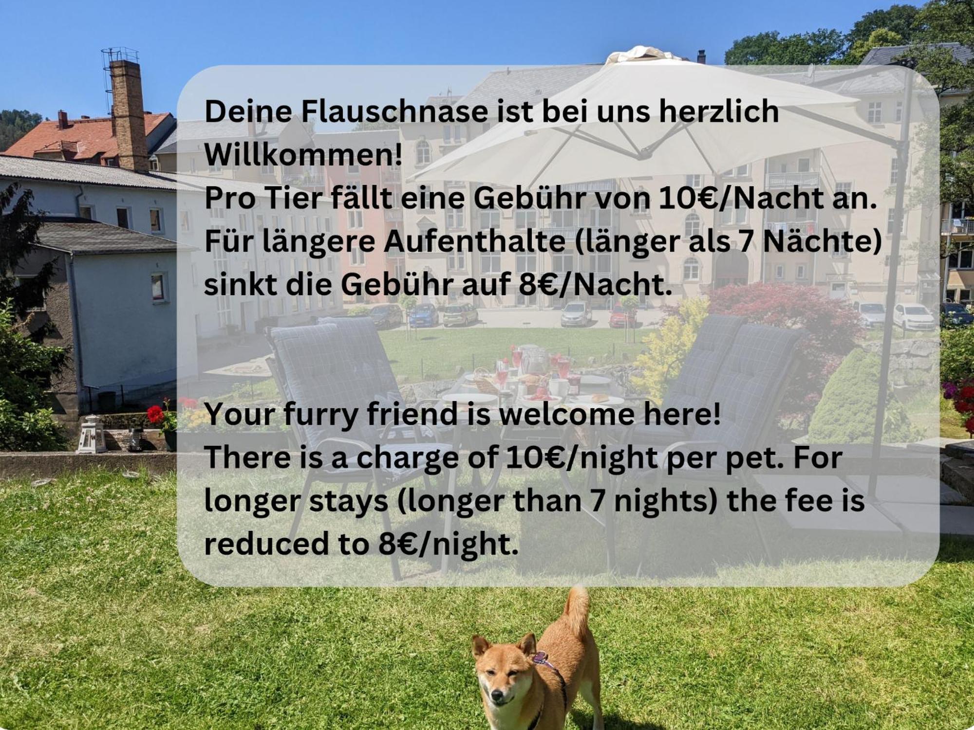 Hw2B - Urlaubsmagie - Wohlfuehlwohnung Mit Balkon, Pool, Sauna & Terrasse Sebnitz Kültér fotó